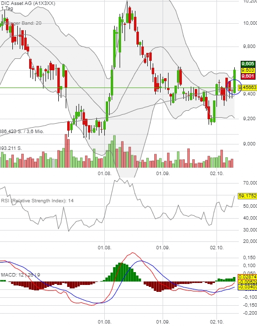 DIC Asset - TopPick? 1017475