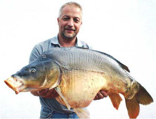 Quo Vadis Dax 2012 - Krise ohne Ende? 477286