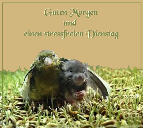 799.DAX Tipp-Spiel, Mittwoch, 04.06.08, 17:45 Uhr 166781