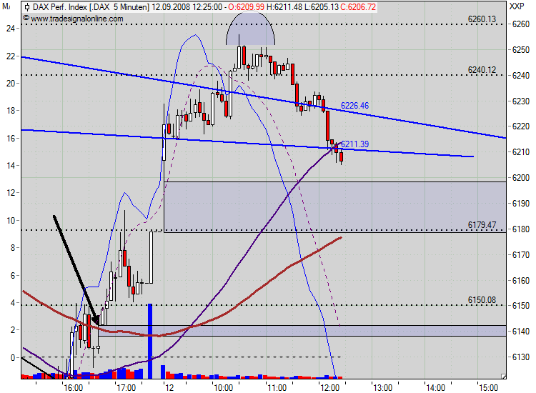 Die Bullen scharren gar nicht mit den Hufen, 185905