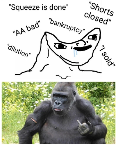 AMC Entertainment Holdings 2.0 - Todamoon?!? 1387744