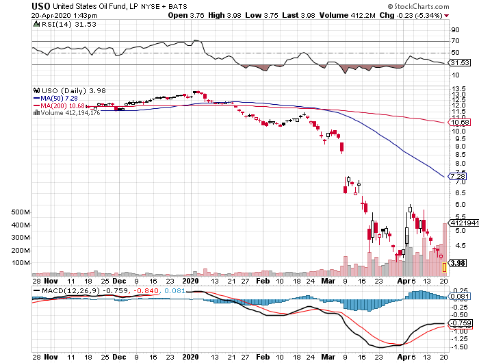 Der USA Bären-Thread 1173527