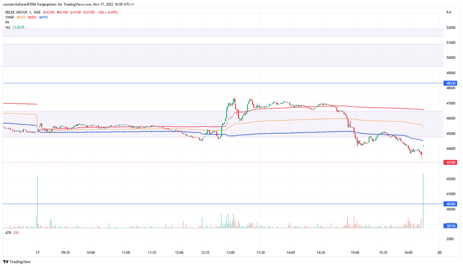 Delek Group nach der Umwandlung der ADR in Aktien 1342615