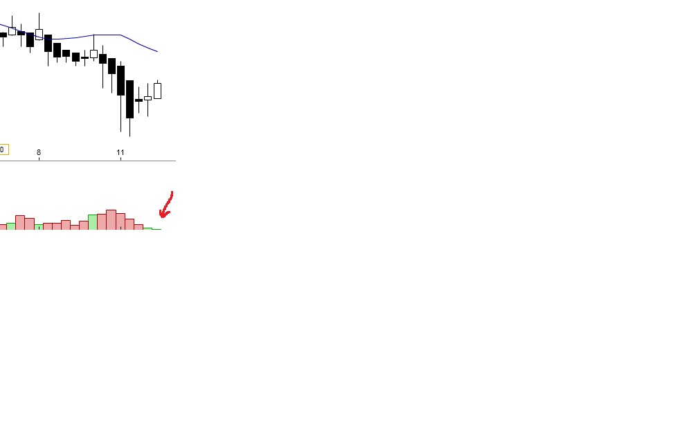 Dialog - Performancesieger 2007? 577560