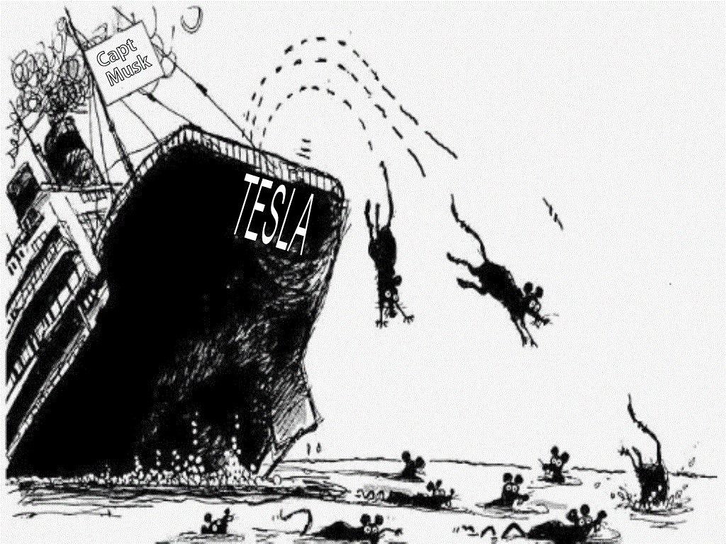 Mobilität 2020 von Tesla bis Ballard BEV + H2 1073146