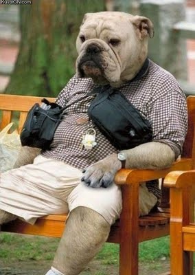 QV ultimate 2012 561636