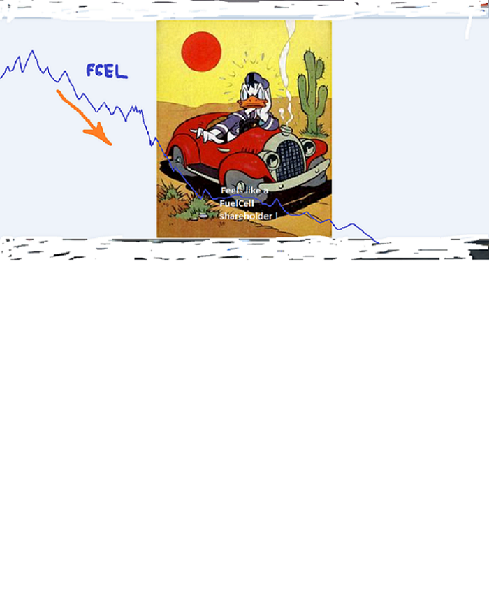 FCEL vor Gewinnschwelle 2013 1139395