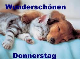 DAX 2014 strong long! Spiel mit offenen Karten! 683131