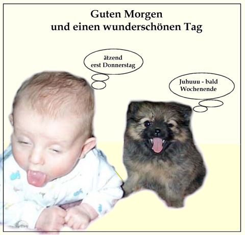 761.DAX Tipp-Spiel, Donnerstag, 10.04.08 158688