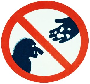 BVB keine lohnende Aktie !! 694092