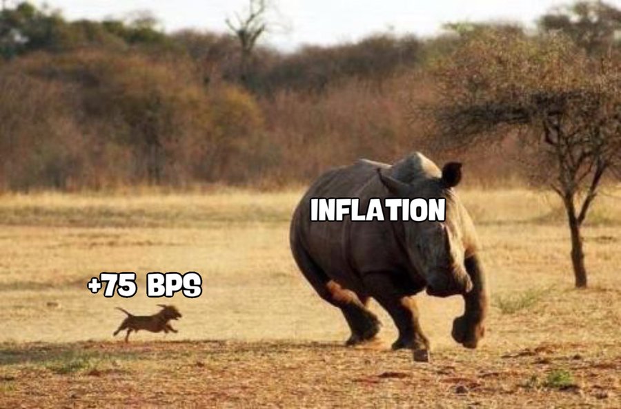 AMC Entertainment Holdings 2.0 - Todamoon?!? 1319613