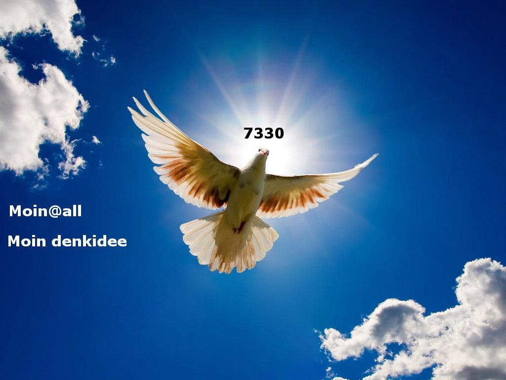 1.576.DAX Tipp-Spiel, Mittwoch, 22.06.2011 414315