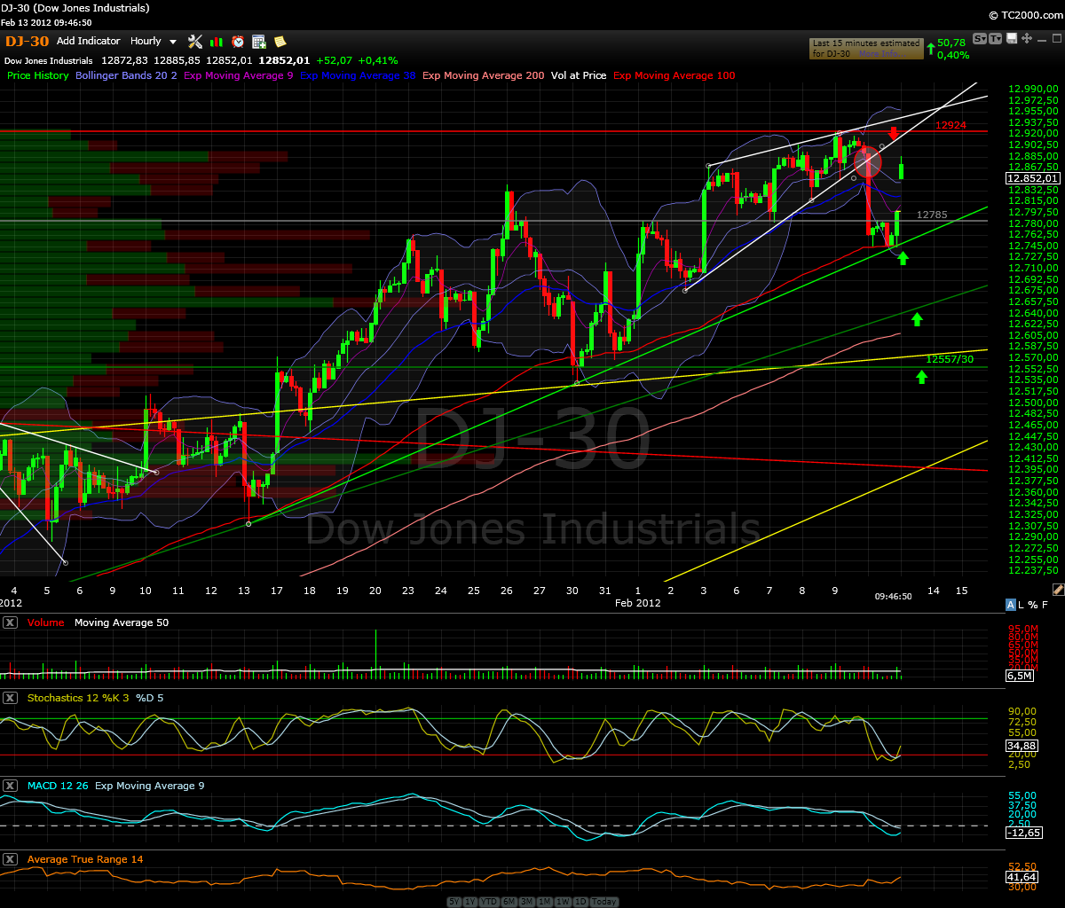 Indexhandel 2012 Rally trotz unzähligen Krisen? 485062