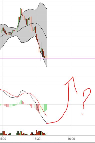 Börse ein Haifischbecken: Trade was du siehst 1211530
