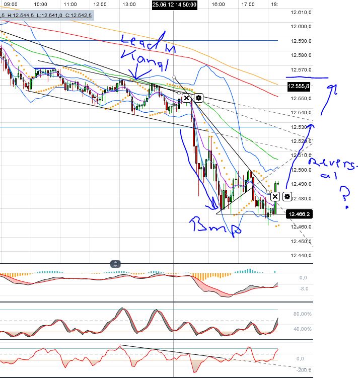 Indexhandel 2012 Rally trotz unzähligen Krisen? 517912