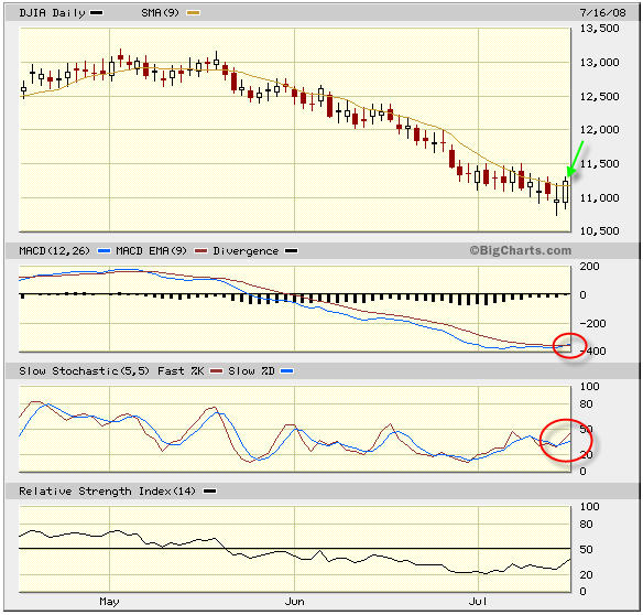 Das Bärengebrüll wird schon wieder lauter, 175332