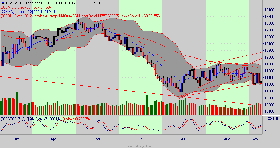 Die Bullen scharren gar nicht mit den Hufen, 185598