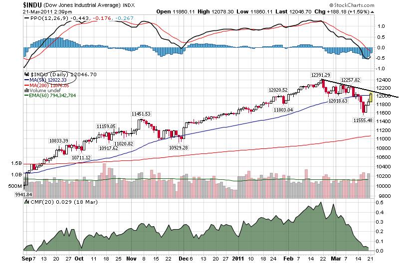 Der USA Bären-Thread 389961