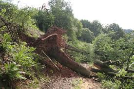 Quo Vadis Dax 2012 - Krise ohne Ende? 476040