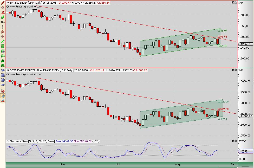 Die Bullen scharren gar nicht mit den Hufen, 182247
