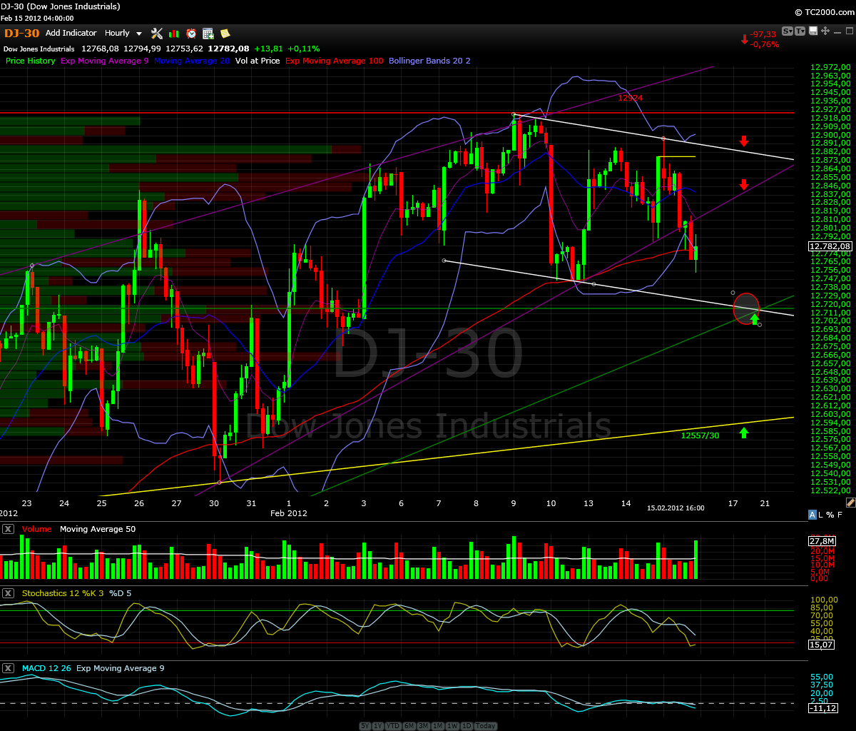 Indexhandel 2012 Rally trotz unzähligen Krisen? 485993