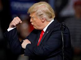 Börse ein Haifischbecken: Trade was du siehst 1211905