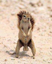 Börse ein Haifischbecken: Trade was du siehst 1269452