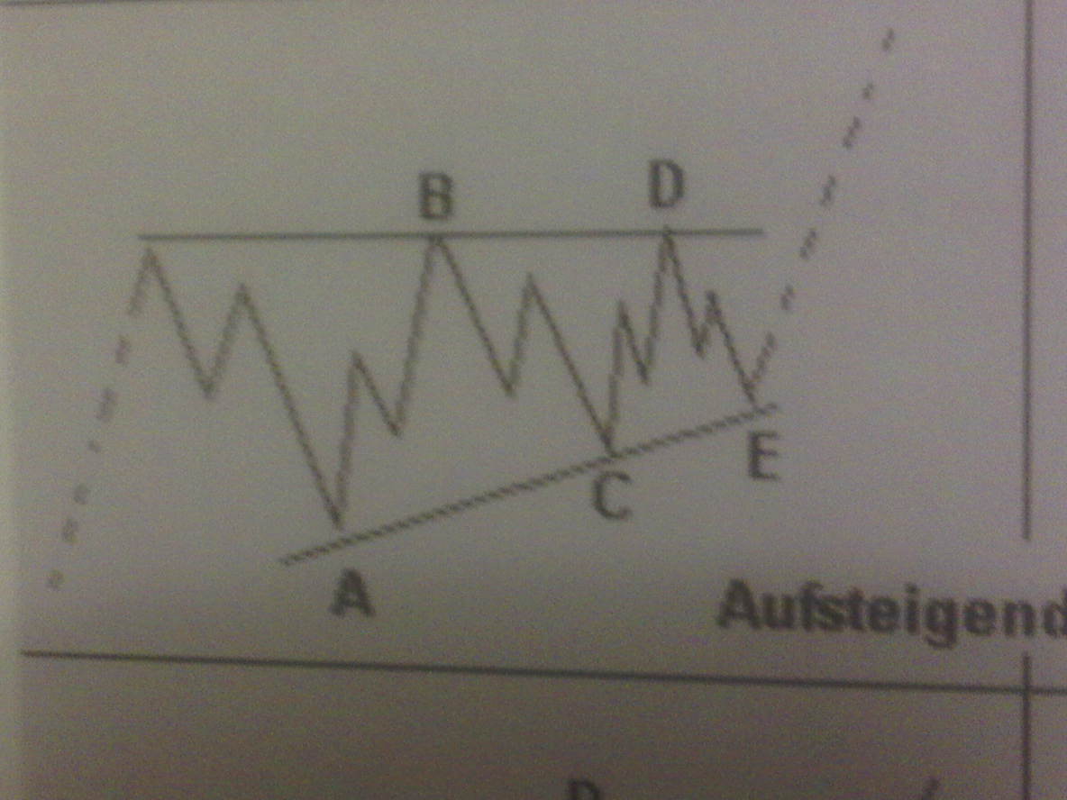 Die Bullen scharren gar nicht mit den Hufen, 344598