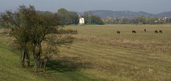 QV ultimate 2012 525450