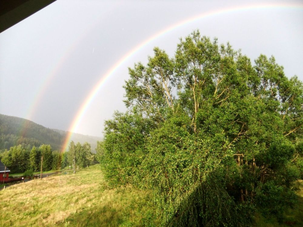 Der Weg weisst Richtung Champions-League 609756