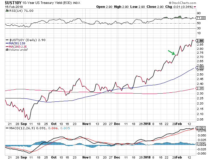 Der USA Bären-Thread 1041118