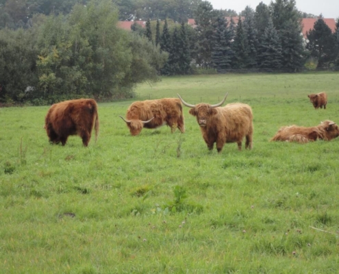 Dax 6000 keine Utopie mehr.... 1261867