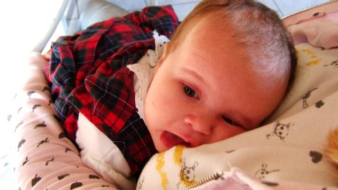 1.394.DAX Tipp-Spiel, Dienstag, 05.10.10 349077