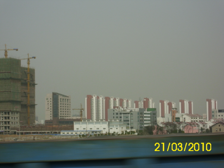 Der USA Bären-Thread 312909