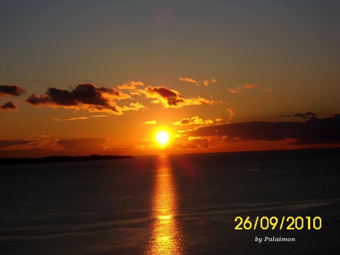 Der USA Bären-Thread 354257