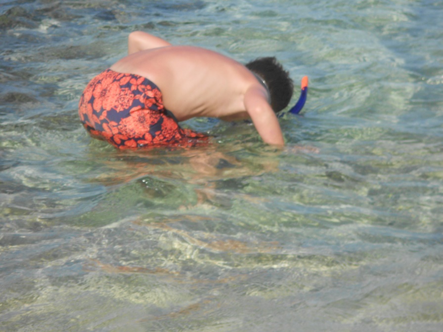 Injex AG - Wahrheit und Träumerei 612646