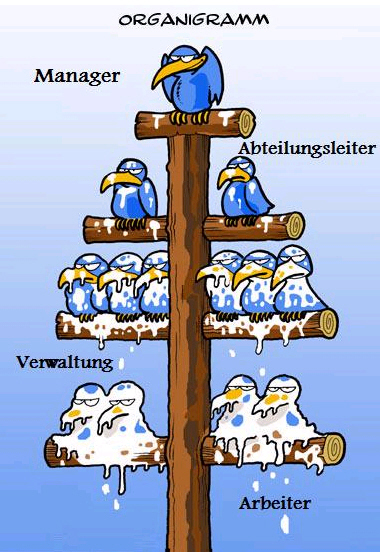 Aqua Society neuer Hype?? 382298