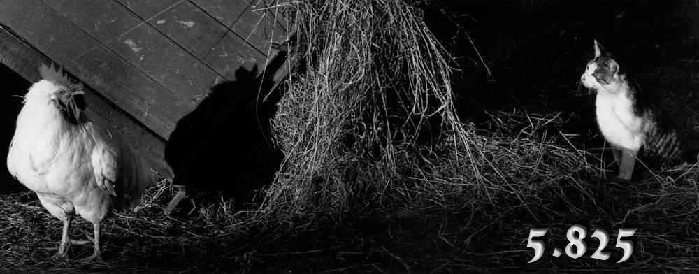 345.DAX Tipp-Spiel, Donnerstag, 17.08.06 52208