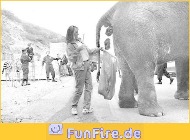 Gibt`s denn hier nix zu K+S? o. T. 276175