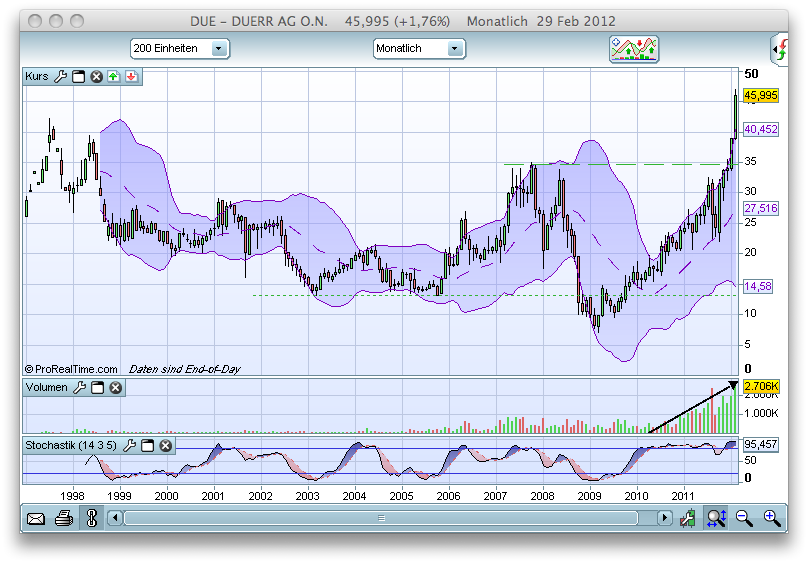 Bear Zocks - daily 490073