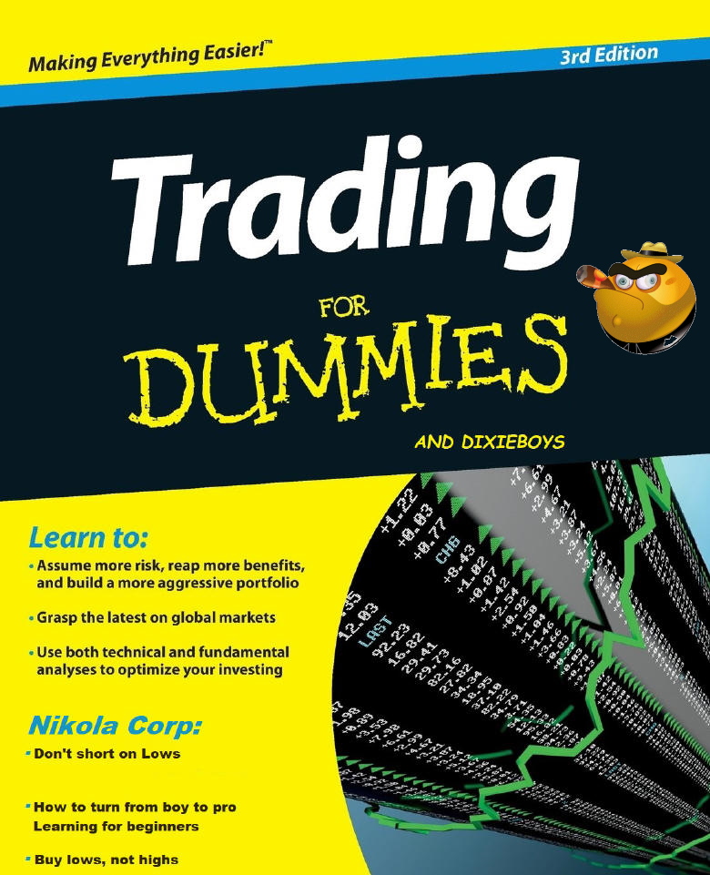 NIKOLA Corporation US6541101050 Nachfolge Thread V 1259073