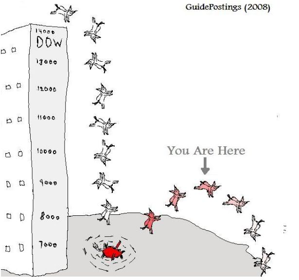 Der USA Bären-Thread 263231