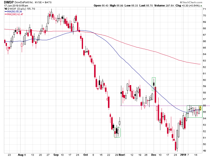 Der USA Bären-Thread 1091924