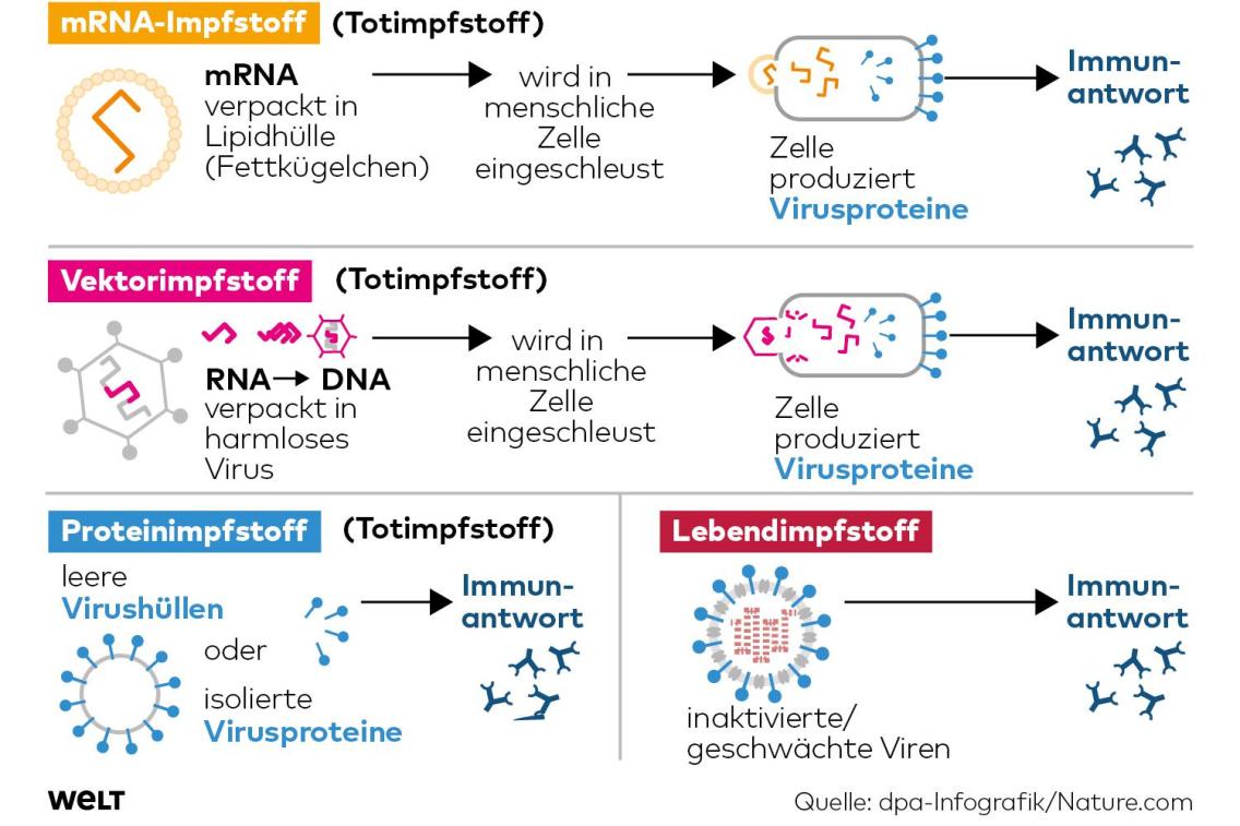 Biontech & MRNA: Revolution in der Pharmaindustrie 1290828