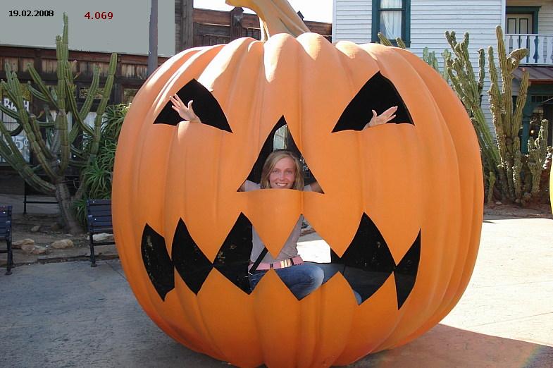 980.DAX Tipp-Spiel Do,19.02.09.17.45 Uhr 217121