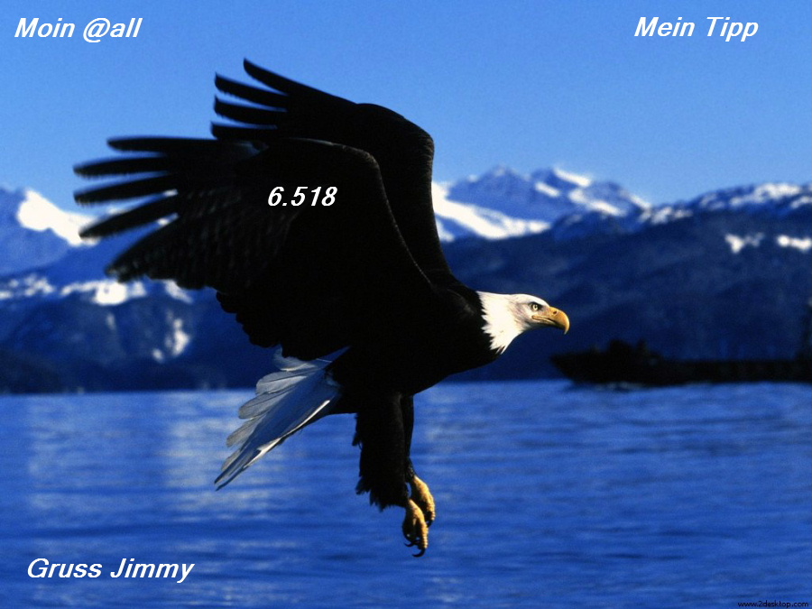 707.DAX Tipp-Spiel, Mittwoch, 23.01.08 143714