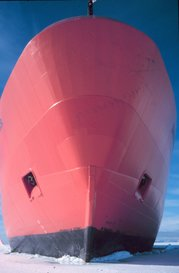 100 % Anstieg binnen 12 Monaten ab jetzt 30982