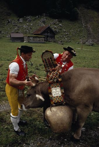 Der USA Bären-Thread 1110243