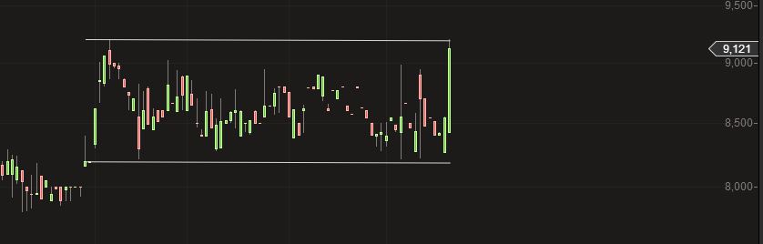Ecotel jetzt 100 % Kursplus*Übernahmekandidat.... 743316