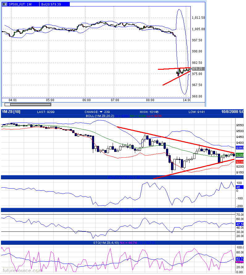Die Bullen scharren gar nicht mit den Hufen, 191109